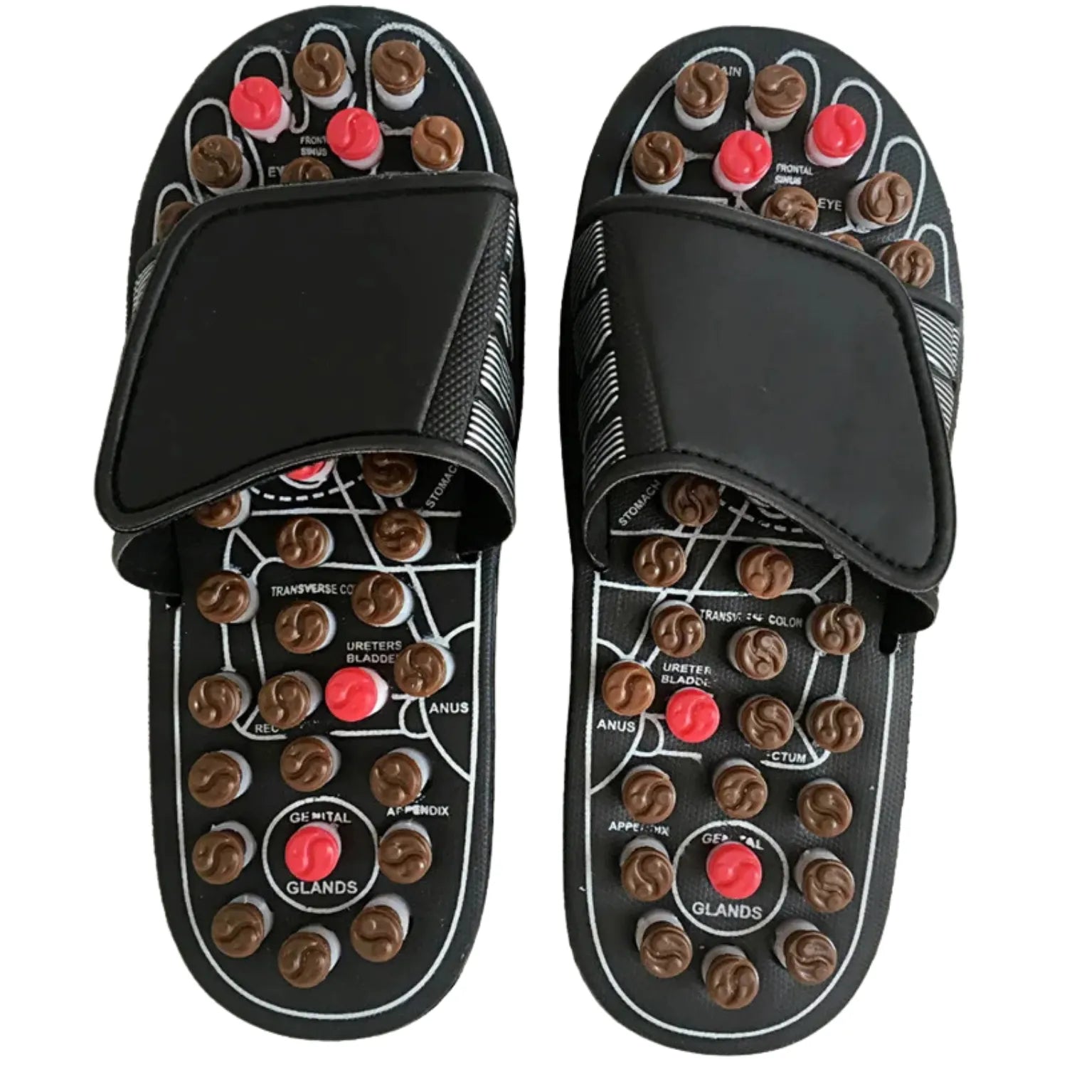 Um par de chinelos de massagem de acupressão, com nódulos de plástico coloridos na sola. O calçado possui uma tira superior ajustável e um diagrama de pontos de reflexologia para terapia e alívio dos pés.